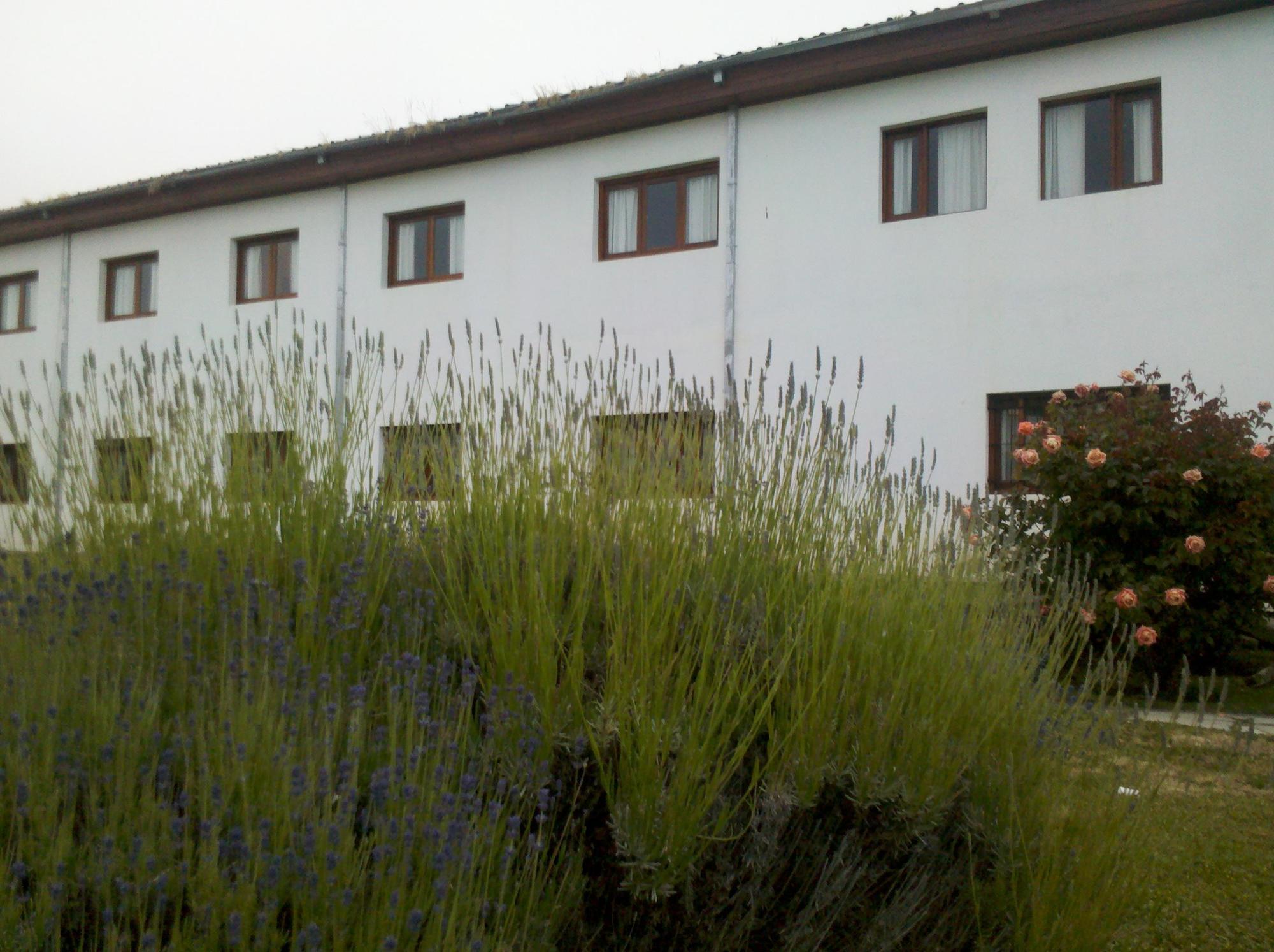 Kalken Hotel By Mh El Calafate Exterior photo